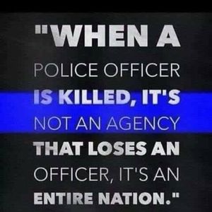 Meet your Posher, Bobbie